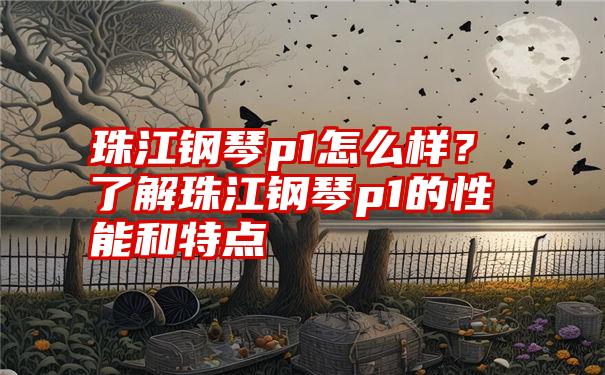 珠江钢琴p1怎么样?了解珠江钢琴p1的性能和特点