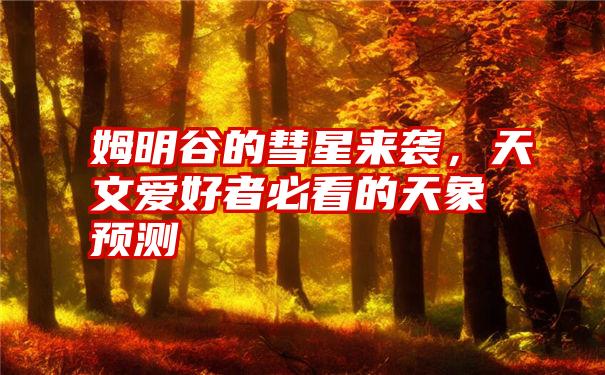 姆明谷的彗星来袭,天文爱好者必看的天象预测