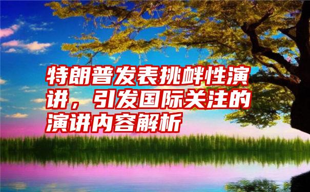 特朗普发表挑衅性演讲,引发国际关注的演讲内容解析