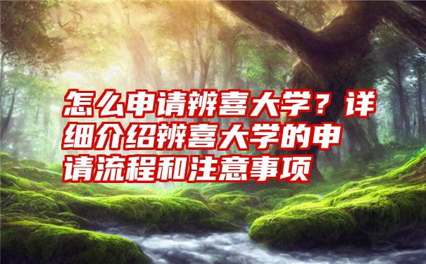 怎么申请辨喜大学？详细介绍辨喜大学的申请流程和注意事项