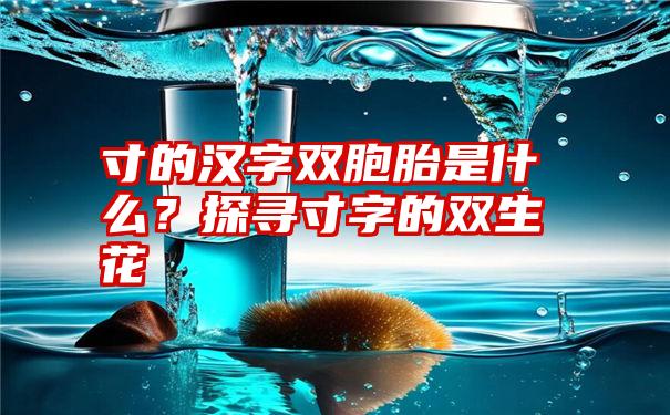 寸的汉字双胞胎是什么？探寻寸字的双生花