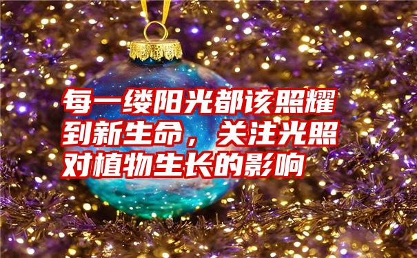 每一缕阳光都该照耀到新生命,关注光照对植物生长的影响