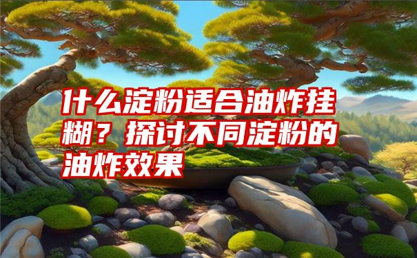 什么淀粉适合油炸挂糊？探讨不同淀粉的油炸效果