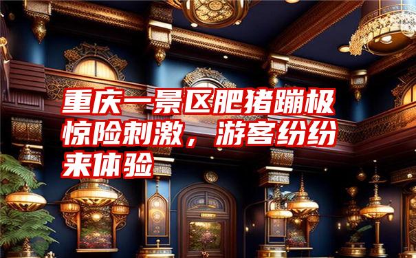 重庆一景区肥猪蹦极惊险刺激，游客纷纷来体验