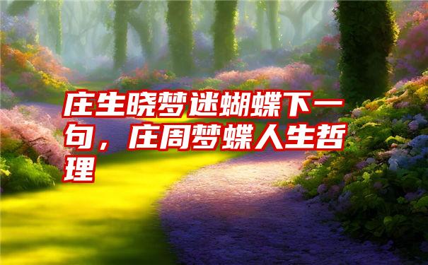 庄生晓梦迷蝴蝶下一句,庄周梦蝶人生哲理