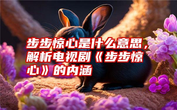 步步惊心是什么意思，解析电视剧《步步惊心》的内涵