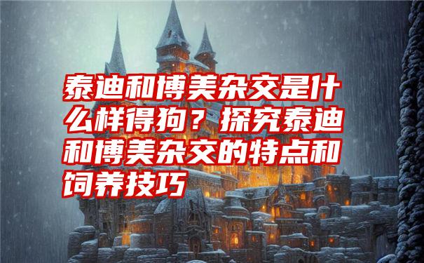 泰迪和博美杂交是什么样得狗？探究泰迪和博美杂交的特点和饲养技巧