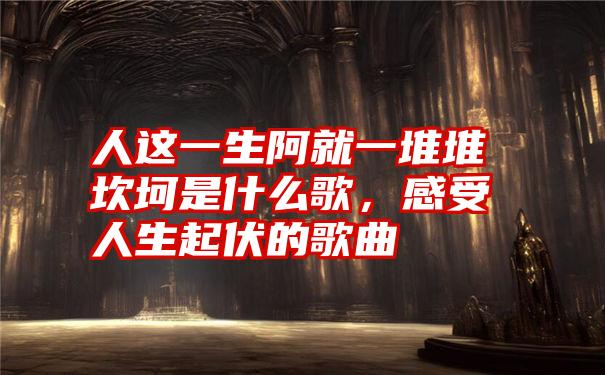 人这一生阿就一堆堆坎坷是什么歌，感受人生起伏的歌曲