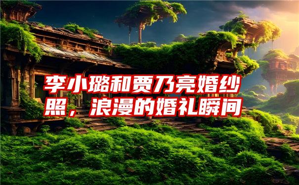 李小璐和贾乃亮婚纱照，浪漫的婚礼瞬间