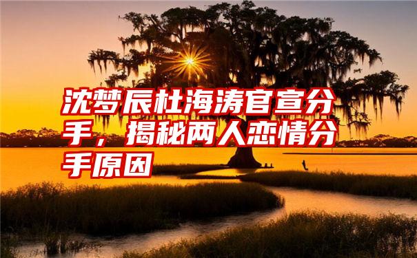 沈梦辰杜海涛官宣分手，揭秘两人恋情分手原因