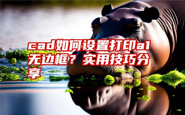 cad如何设置打印a1无边框？实用技巧分享