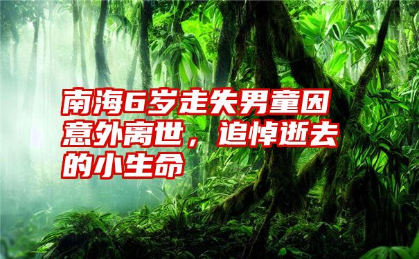 南海6岁走失男童因意外离世，追悼逝去的小生命