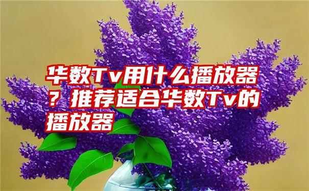 华数Tv用什么播放器？推荐适合华数Tv的播放器