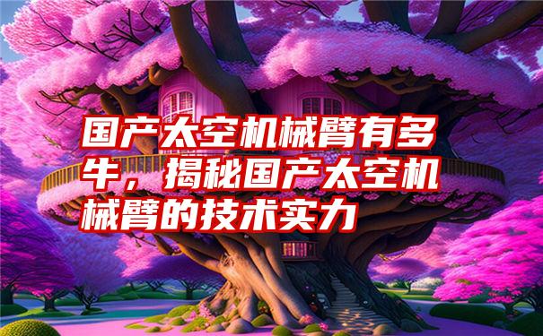 国产太空机械臂有多牛,揭秘国产太空机械臂的技术实力