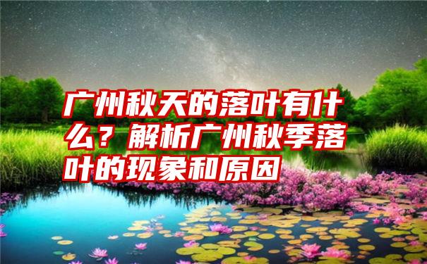 广州秋天的落叶有什么？解析广州秋季落叶的现象和原因