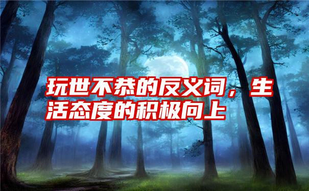 玩世不恭的反义词,生活态度的积极向上