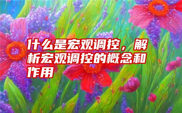 什么是宏观调控，解析宏观调控的概念和作用