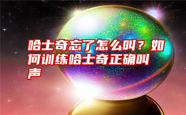 哈士奇忘了怎么叫？如何训练哈士奇正确叫声