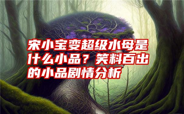 宋小宝变超级水母是什么小品？笑料百出的小品剧情分析