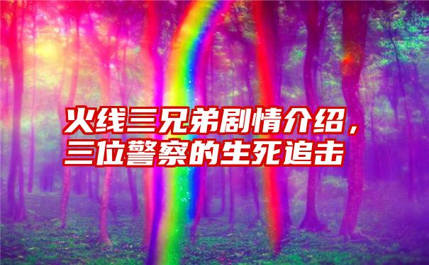 火线三兄弟剧情介绍，三位警察的生死追击