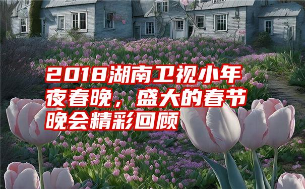 2018湖南卫视小年夜春晚，盛大的春节晚会精彩回顾