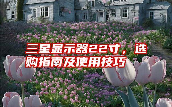 三星显示器22寸，选购指南及使用技巧