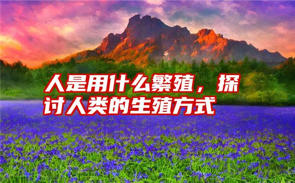 人是用什么繁殖,探讨人类的生殖方式