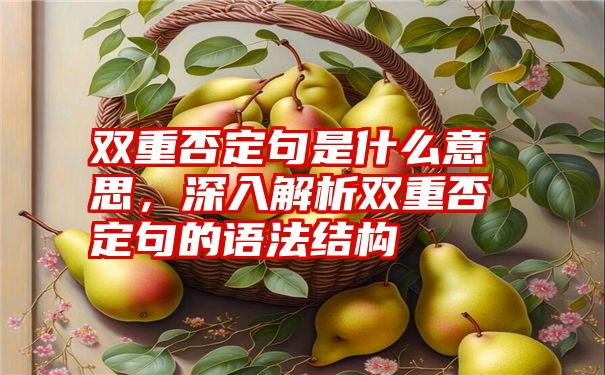 双重否定句是什么意思，深入解析双重否定句的语法结构