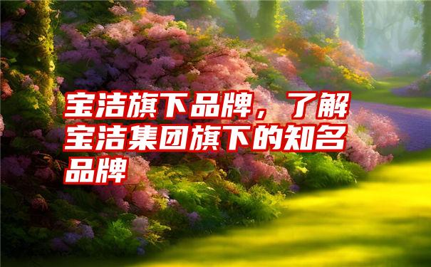 宝洁旗下品牌，了解宝洁集团旗下的知名品牌