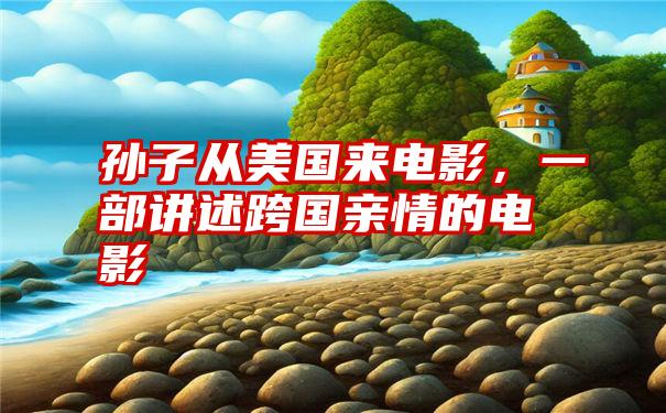 孙子从美国来电影，一部讲述跨国亲情的电影