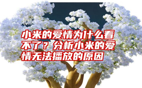 小米的爱情为什么看不了？分析小米的爱情无法播放的原因