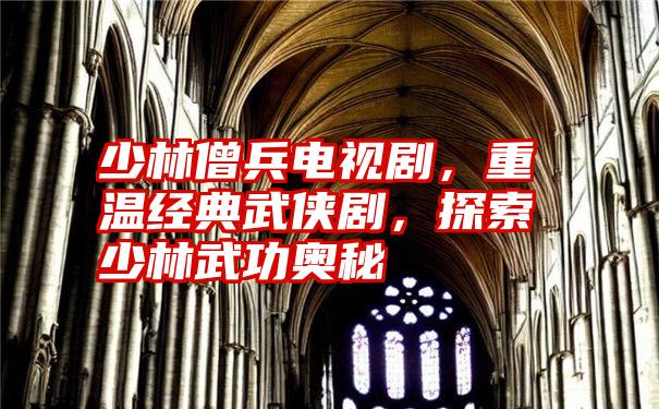 少林僧兵电视剧,重温经典武侠剧,探索少林武功奥秘