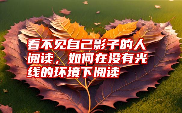 看不见自己影子的人阅读，如何在没有光线的环境下阅读