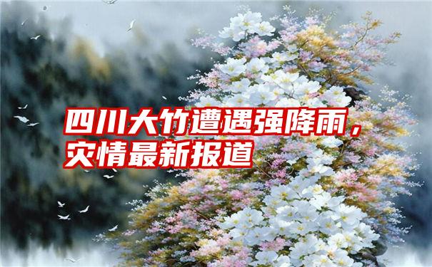四川大竹遭遇强降雨，灾情最新报道