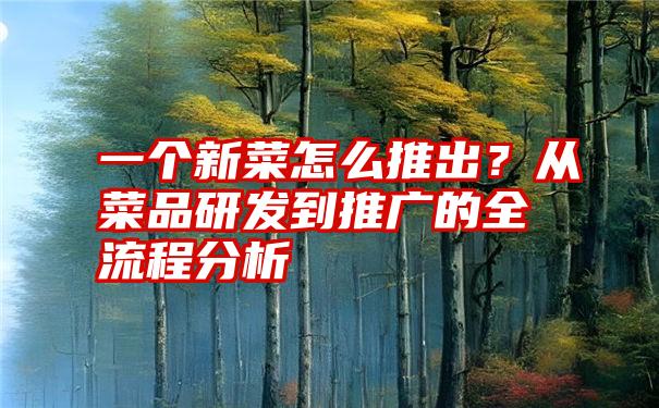 一个新菜怎么推出？从菜品研发到推广的全流程分析