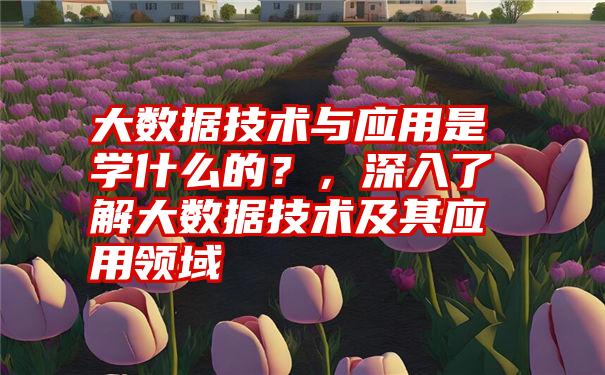 大数据技术与应用是学什么的?,深入了解大数据技术及其应用领域