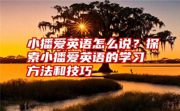 小播爱英语怎么说？探索小播爱英语的学习方法和技巧