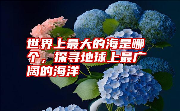 世界上最大的海是哪个,探寻地球上最广阔的海洋