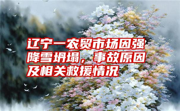 辽宁一农贸市场因强降雪坍塌，事故原因及相关救援情况