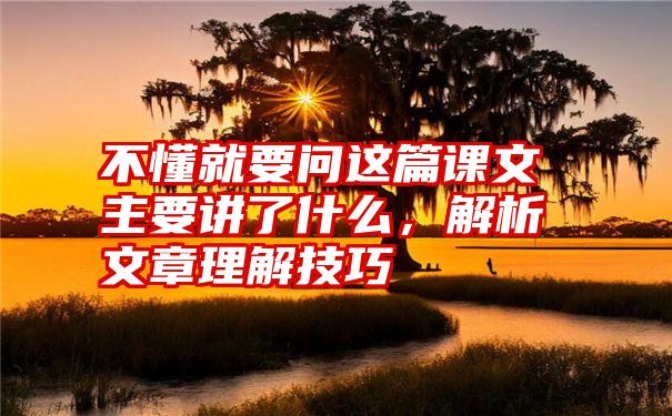 不懂就要问这篇课文主要讲了什么，解析文章理解技巧