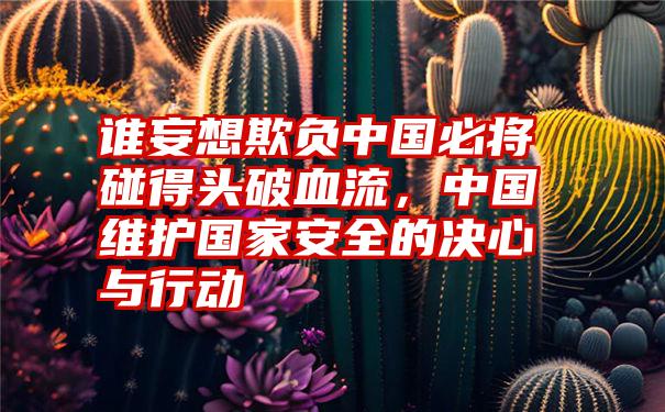 谁妄想欺负中国必将碰得头破血流，中国维护国家安全的决心与行动