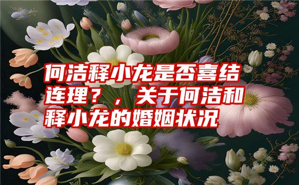 何洁释小龙是否喜结连理？，关于何洁和释小龙的婚姻状况