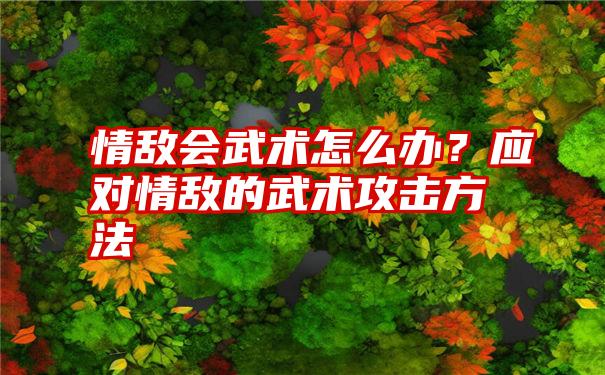 情敌会武术怎么办？应对情敌的武术攻击方法