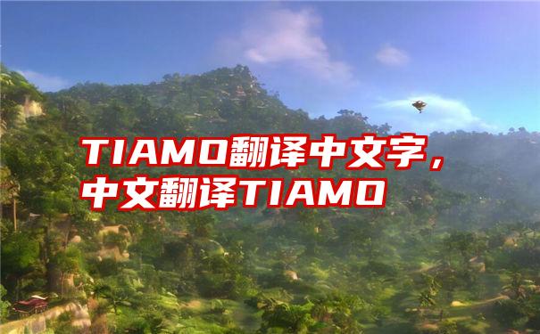TIAMO翻译中文字，中文翻译TIAMO