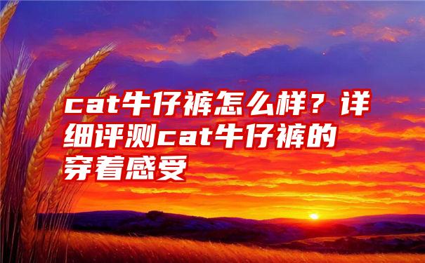 cat牛仔裤怎么样？详细评测cat牛仔裤的穿着感受