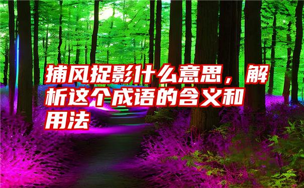 捕风捉影什么意思,解析这个成语的含义和用法