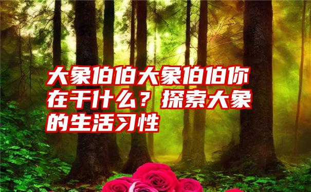 大象伯伯大象伯伯你在干什么？探索大象的生活习性