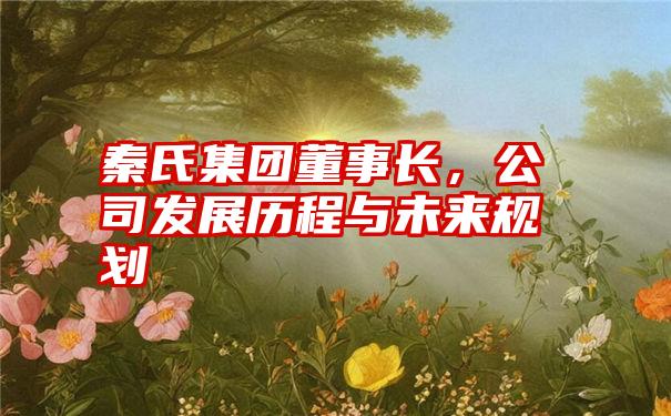 秦氏集团董事长,公司发展历程与未来规划