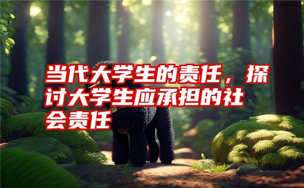 当代大学生的责任，探讨大学生应承担的社会责任