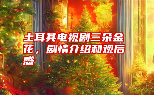 土耳其电视剧三朵金花,剧情介绍和观后感